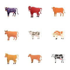 Farm cow icon set. Cartoon set of 9 farm cow vector icons for web design isolated on white background