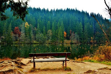 a bench near a lake