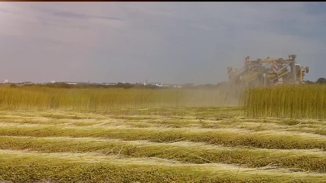 agricultural machine for flax harvesting