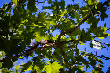 Viaje a Siguenza Castilla la Mancha