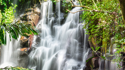 Beautiful cascading waterfall in a dense jungle gully - nature, landscape and natural environment image.