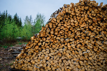 Pile of chopped fire wood.