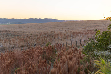 Rural landscape in early morning with frost formation 02