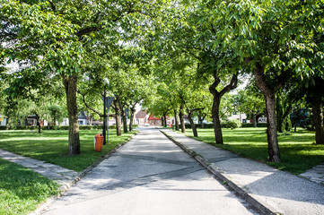 Park w Zdunach