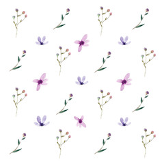 meadow pattern painted with watercolor. Illustration of wildflowers for prints and design..