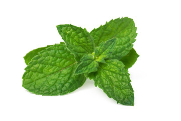 Fresh green  mint leaves  isolated on white background