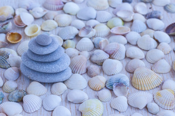 pebbles lined with pyramid on the background of seashells