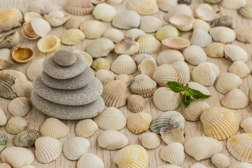 pebbles lined with pyramid on the background of seashells.
