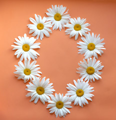 0, arabic numeral. Happy New Year 2020. Large daisies.