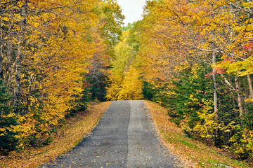 Fototapeta na wymiar Autumn road in Maine, USA.