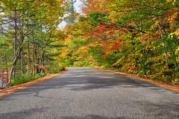 Naklejka na ściany i meble Autumn scene with road in in White Mountain National Forest, New Hampshire, USA. Fall in New England.