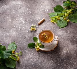 Healthy hot linden tea in cup