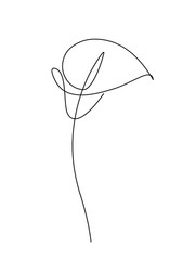 Calla lily flower. Line continuous. Abstract minimal botanic icon, logo, symbol - 281016383