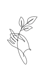 Fototapeten Hand, die Blätter hält. Kontinuierliche Strichzeichnung © ColorValley