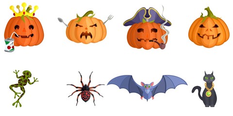 Halloween spider cat and evil pumpkins scary
