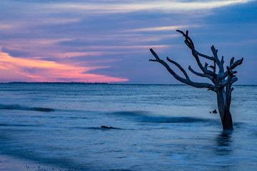scenes around hunting island south carolina in summer