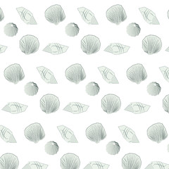 貝殻パターン