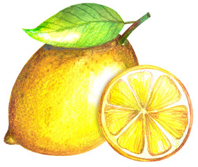 Watercolor Lemon