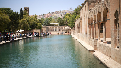 The Pool of Abraham Balikli Gol in Sanliurfa