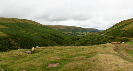 Fototapeta na wymiar panorama of the Welsh countryside