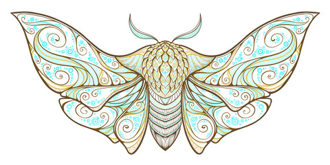 1,575 Moth Mystic Wall Murals - Canvas Prints - Stickers | Wallsheaven