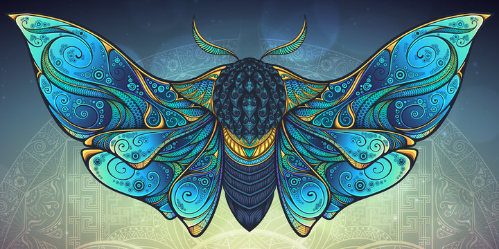 Abstract mystical Moth in psychedelic design. Vector illustration.