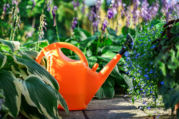 Watering flowers using watering can in the home garden. Gardening and floriculture