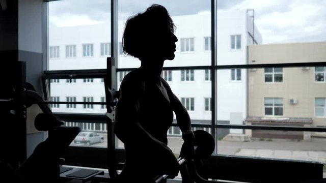 Silhouette of a sportive woman with a relief body at the window making set of reps exercise lifting barbell for shoulders muscles.