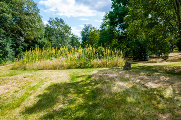 London, UK - July 20, 2019:Arboretum botanical garden, preservation and display a wide range of plants, Myddelton House Gardens, Bulls Cross, Enfield, London, Greater London, England, EN2 