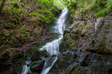 waterfall in forest