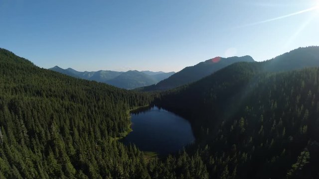Endless Evergreen Trees in Rolling Mountain Hills with Epic Lake Aerial Flying Backwards