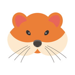 The hamster is isolated on white background.