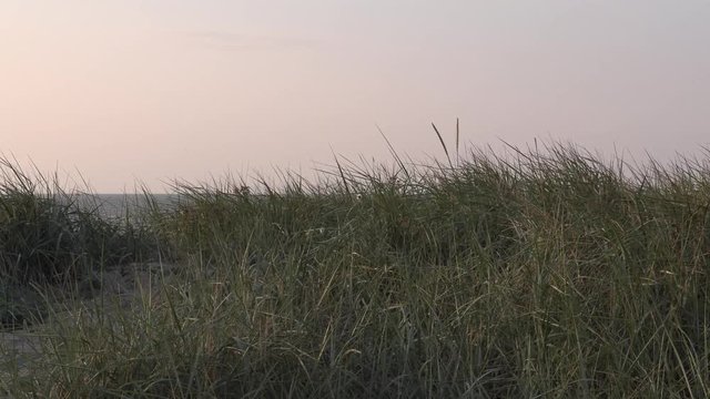 Sand Dunes with a Bunch of Grass in Hooksiel