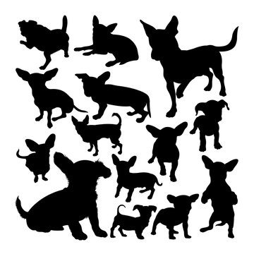 Chiweenie dog animal silhouettes. Good use for symbol, logo,  web icon, mascot, sign, or any design you want.