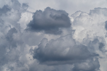 Cumulonimbus calvus, a developing thunderhead cloud
