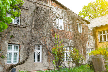 Old house with a dry grape tree on it. Rustic vintage style architecture.