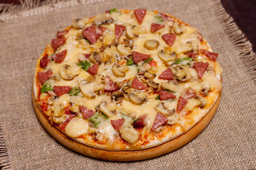 Freshly baked pizza with mushrooms, salami and cheese