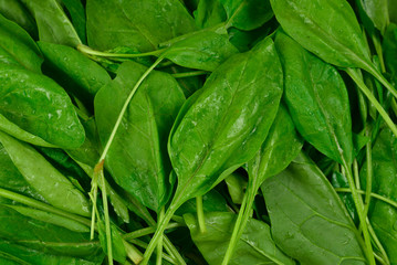 Fresh spinach leaves as background.