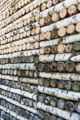 old texture of weathered birch logs as natural background