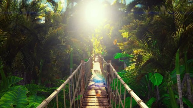 Wooden bridge over the green jungle. Green jungle trees and palm trees with blue sky and bright sun. The Concept Of Travel.