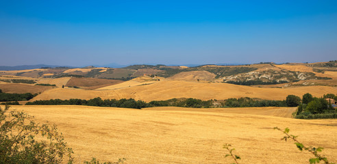 Drohnenaufnahme, Weizenfelder in der Toskana, Italien