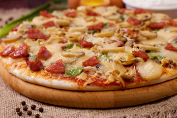 Freshly baked pizza with mushrooms, salami and cheese
