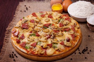 Freshly baked pizza with mushrooms, salami and cheese