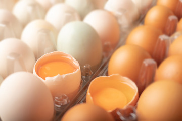 broken eggs of chicken and duck in plastic box
