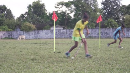 Two young girls exercising with field hockey sticks and balls - Powered by Adobe