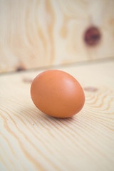 One brown egg on a wood background