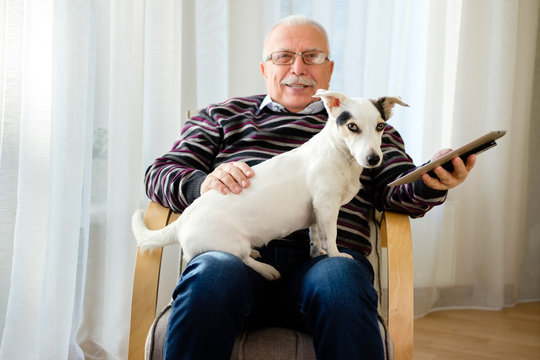 Senior man 70-75 years old sitting on armchair at home, reading, watching and relaxing tablet pc computer with his best friend, a dog Jack russell terrier.