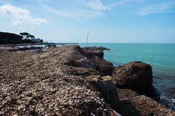 Beautiful azure sea and the beach, Tyrrhenian sea in Tuscany, Italy