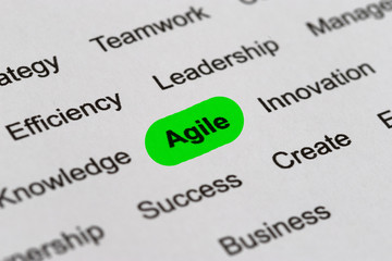 Obraz premium Agile - Project Management Buzzwords, Printed on White Paper and Highlighted