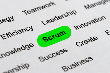 Fototapeta premium Scrum - Project Management Buzzwords, Printed on White Paper and Highlighted